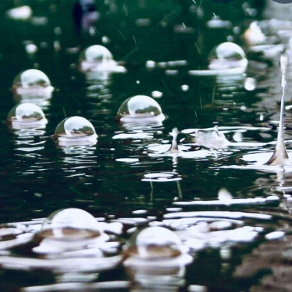Living In a Bubble