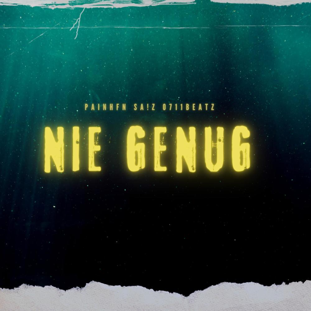 Nie genug (feat. SAiZ & 0711Beatz) (Explicit)