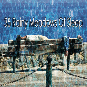 收听Rain Sounds的Ambience of Rain歌词歌曲