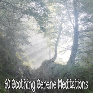 收聽Yoga Music的Anxiety Bane歌詞歌曲