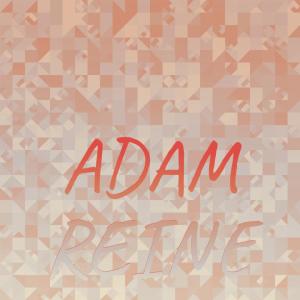 Album Adam Reine from Various