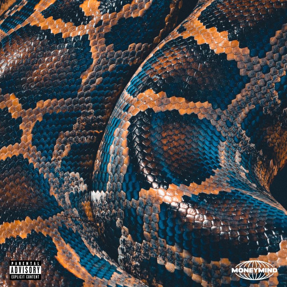 Snake (Explicit)