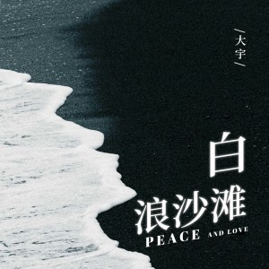 Album 白浪沙滩 from 大宇