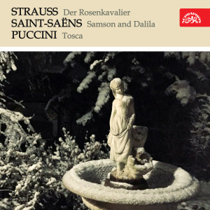 Listen to "To řádění zde v chrámě" song with lyrics from Brno Janáček Opera Orchestra