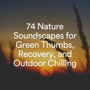 Album 74 Nature Soundscapes for Green Thumbs, Recovery, and Outdoor Chilling from 