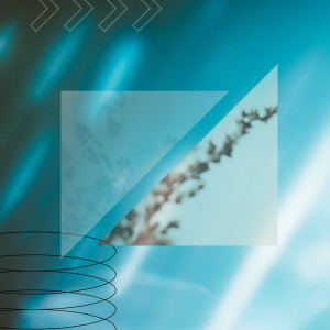 Album Cold Lips / Want It Enough from 