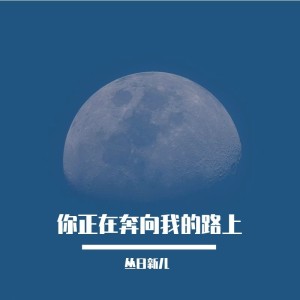 丛日新的专辑你正在奔向我的路上
