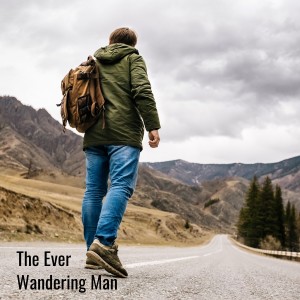 Album The Ever Wandering Man from 