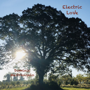 Listen to Colour of the Night song with lyrics from Dominic Mastrangelo