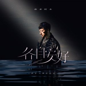 Listen to 各自安好 (Live版) song with lyrics from 海来阿木