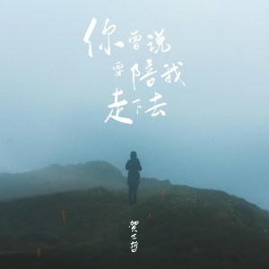 Album 你曾说要陪我走下去 from 贺世哲