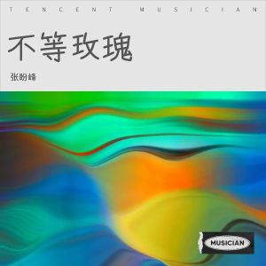 Album 不等玫瑰 from 张盼峰