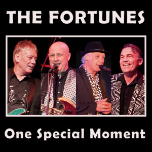 Dengarkan One Special Moment lagu dari The Fortunes dengan lirik