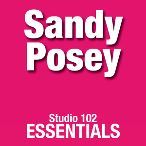 ดาวน์โหลดและฟังเพลง I Know a Heartache When I See One พร้อมเนื้อเพลงจาก Sandy Posey