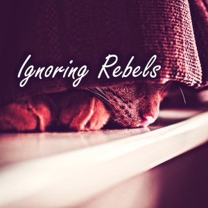 Listen to Ignoring Rebels song with lyrics from Dj Sikora