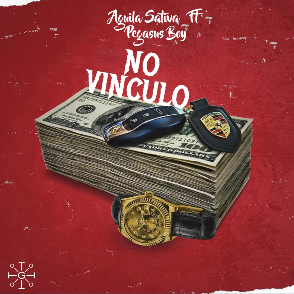 No Vinculo(feat. Pegasus Boy) (Explicit)