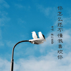 Listen to 你怎么还不懂我喜欢你 song with lyrics from 随忆soda