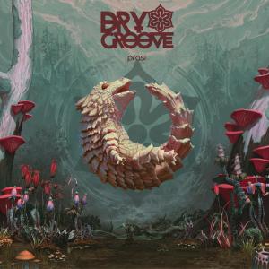 Listen to Life After Crash  song with lyrics from Dry Groove