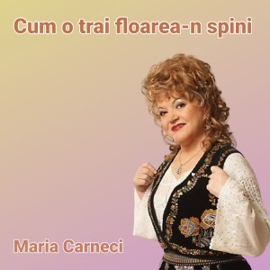 Listen to Cum o trai floarea-n spini song with lyrics from Maria Cârneci