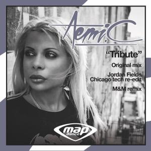 Listen to Tribute (M&m Remix) song with lyrics from Aemi C