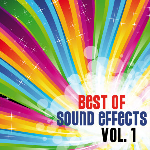 收听DJ Sound Effects的The Wilhelm Scream - People歌词歌曲