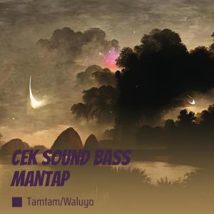 Album Cek Sound Bass Mantap from TAMTAM