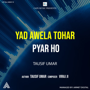 收听Tausif Umar的Yad Awela Tohar Pyar Ho歌词歌曲