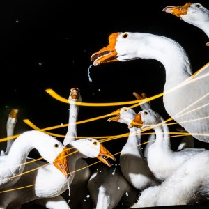 ดาวน์โหลดและฟังเพลง เปรตป่ะ พร้อมเนื้อเพลงจาก TangBadVoice