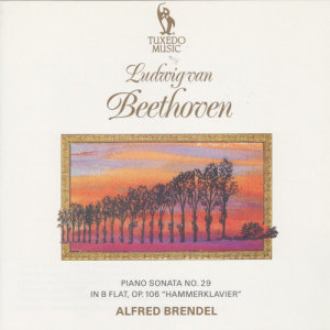 收聽Alfred Brendel的Piano Sonata No. 29 in B-Flat, Op. 106 "Hammerklavier": IV. Largo - Allegro risoluto歌詞歌曲