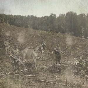 Moonraker/Stuhr的專輯Crickets (Explicit)