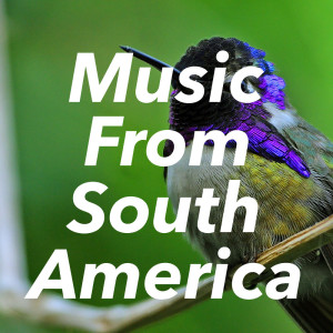 Listen to Columbiano song with lyrics from Columbian Festival Group