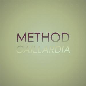 Dengarkan lagu Method Gaillardia nyanyian Sanne Lmer dengan lirik