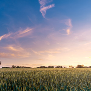 ดาวน์โหลดและฟังเพลง Eternal Love พร้อมเนื้อเพลงจาก Spa Music Relaxation