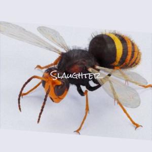 Dengarkan Flavor Everyone lagu dari Jarot Saly dengan lirik