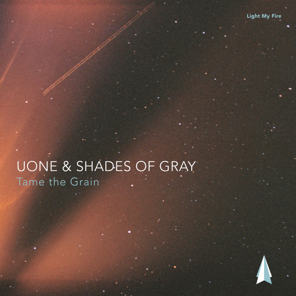 Tame the Grain (Be Svendsen Remix)