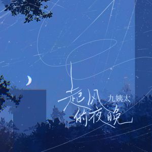 Album 起风的夜晚 from 王唯一