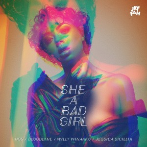 Listen to She a Bad Girl song with lyrics from NSG