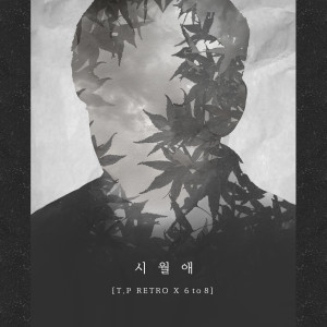 收聽T.P RETRO的Siwolae: Autumn Song (Instrumental)歌詞歌曲