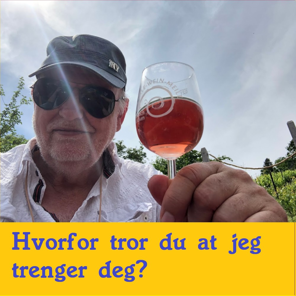 Hvorfor tror du at jeg trenger deg?