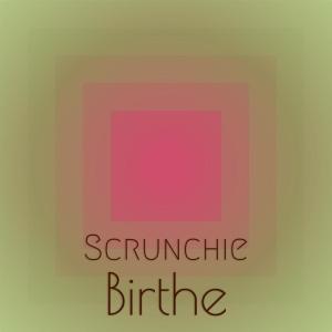 Various的专辑Scrunchie Birthe