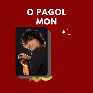 Manoj Roy的专辑O Pagol Mon