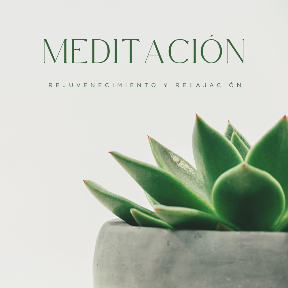 Meditación Del Mar