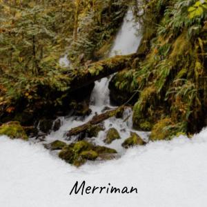 Album Merriman from Various