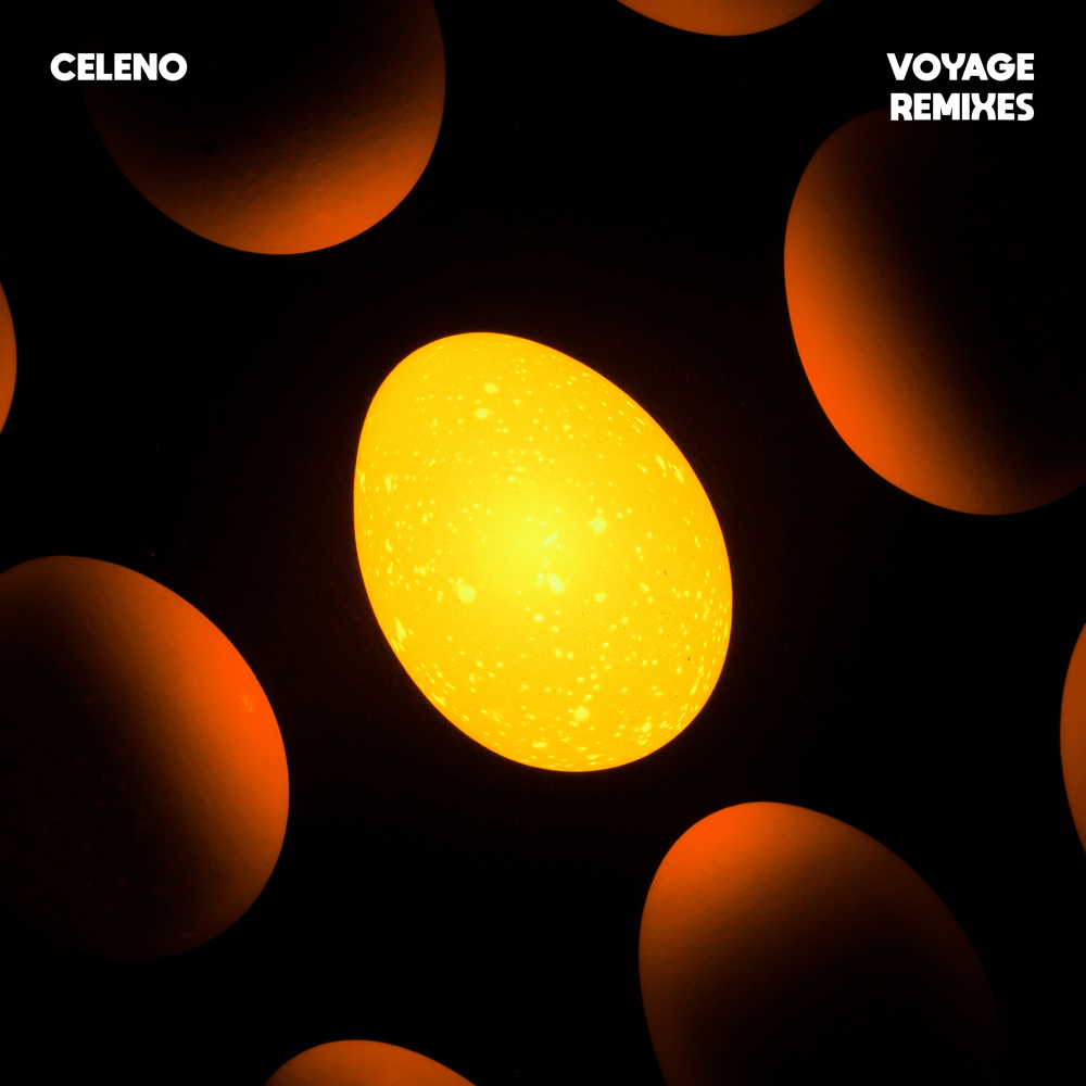 Voyage (San Remix)