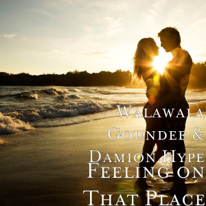 Listen to Feeling on That Place (Explicit) song with lyrics from Walawala Goundee