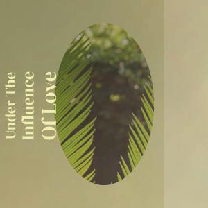 Listen to Baby's Gone song with lyrics from Grady Martin