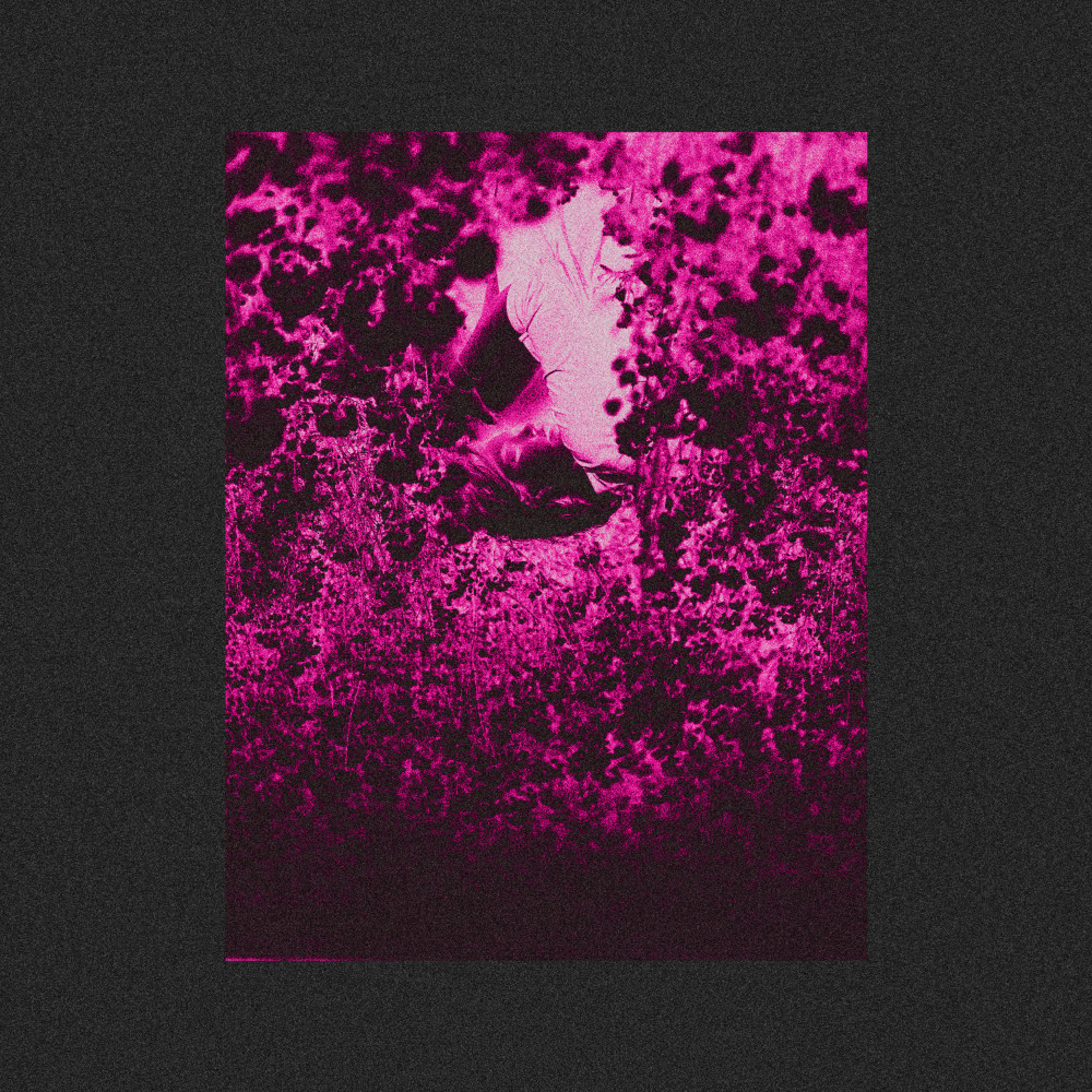 Punch Me In The Fucking Face (Explicit)