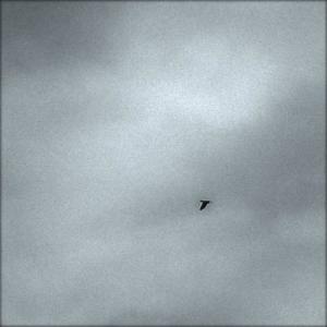 ดาวน์โหลดและฟังเพลง Deconstructing Clues พร้อมเนื้อเพลงจาก Pascal Savy