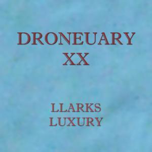 Album Droneuary XX from Llarks