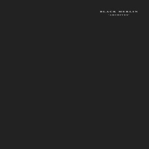 收聽Black Merlin的Shock歌詞歌曲